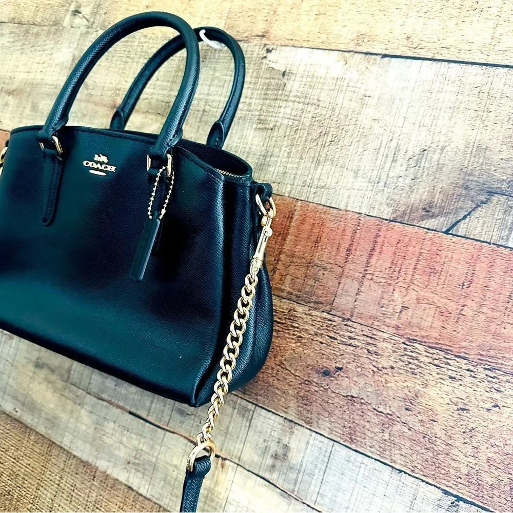 Coach Mini Sage Carryall Crossbody Satchel Bag - Picture 5 of 13